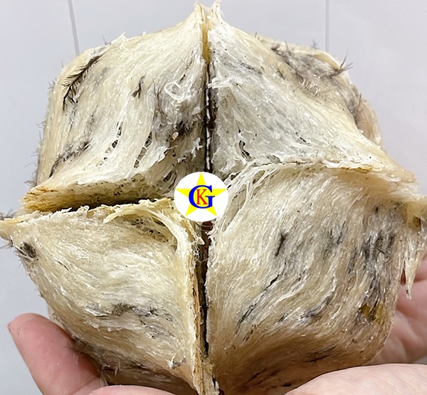 Tổ yến bánh mì Tổ yến bánh mì