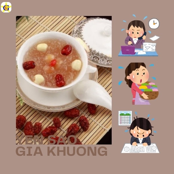 Yến sào có phù hợp với người bận rộn??? Yến sào có phù hợp với người bận rộn???