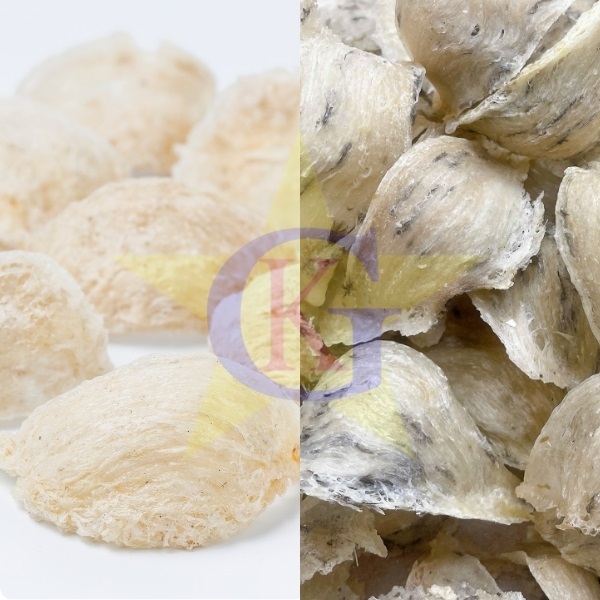 Yến tinh chế tốt hơn yến thô??? Yến tinh chế tốt hơn yến thô???