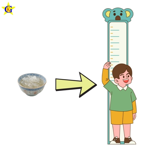 Yến sào cho bé thêm cao lớn Yến sào cho bé thêm cao lớn