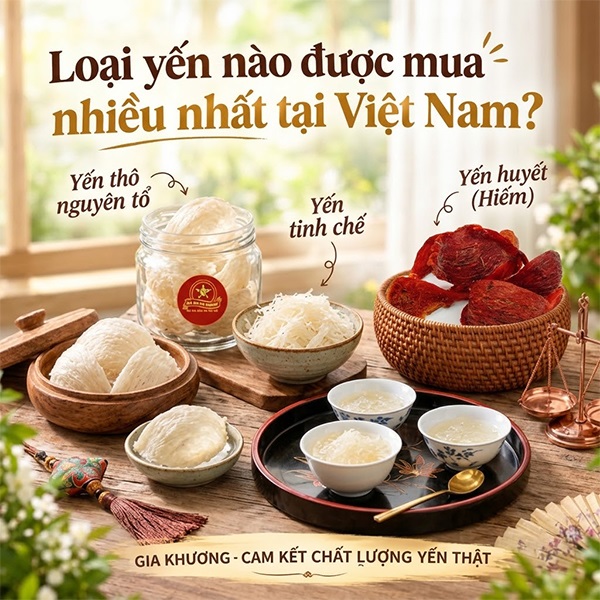 Loại yến nào được mua nhiều nhất tại Việt Nam??? Loại yến nào được mua nhiều nhất tại Việt Nam???