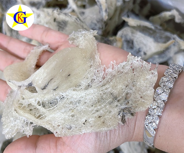 NUÔI YẾN NHÀ CÓ KHÓ KHĂN GÌ HAY KHÔNG??? NUÔI YẾN NHÀ CÓ KHÓ KHĂN GÌ HAY KHÔNG???