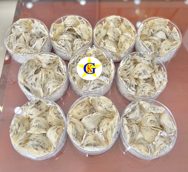 Loại Tổ Yến Nào Đáng Mua Nhất Năm 2023 Loại Tổ Yến Nào Đáng Mua Nhất Năm 2023