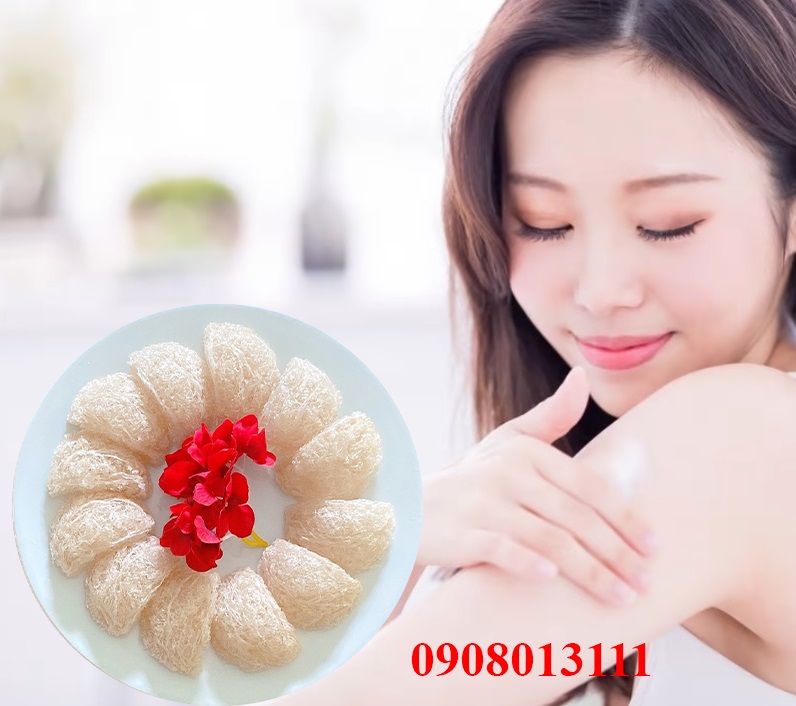 Yến sào giúp trẻ hóa làn da cho chị em phụ nữ Yến sào giúp trẻ hóa làn da cho chị em phụ nữ