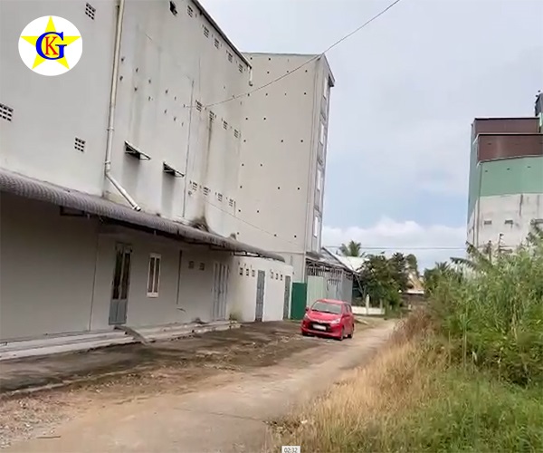 Nuôi Yến Có Cần Cho Ăn Không??? Nuôi Yến Có Cần Cho Ăn Không???