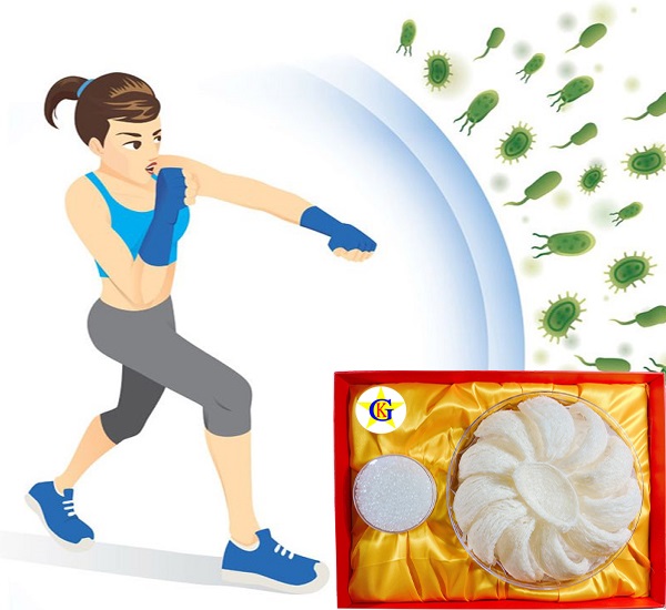 Bị cảm có nên ăn yến hay không? Bị cảm có nên ăn yến hay không?