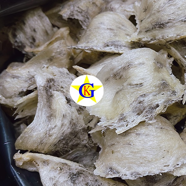 Yến thô trong mùa mưa năm nay có nhiều thay đổi? Yến thô trong mùa mưa năm nay có nhiều thay đổi?