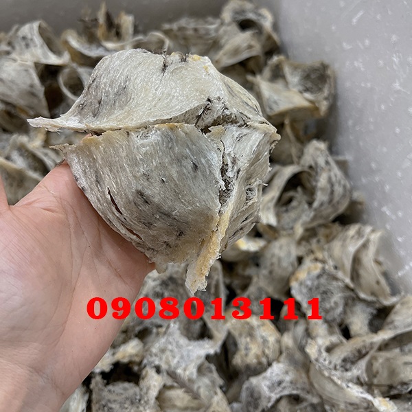 Quy trình hình thành nên một tổ yến nhà Quy trình hình thành nên một tổ yến nhà