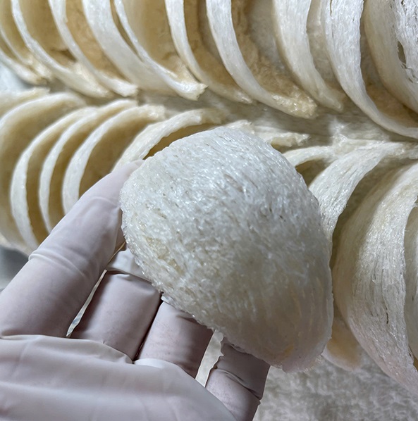 Vì sao ta gọi đây là yến định hình A5 Vì sao ta gọi đây là yến định hình A5