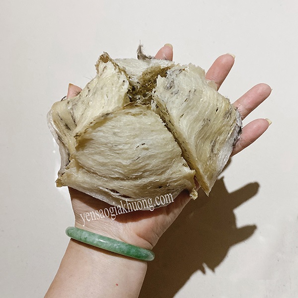 Yến sào Kiên Giang Yến sào Kiên Giang