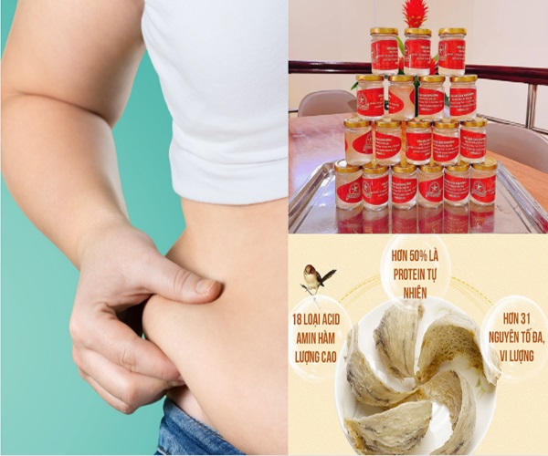 Yến sào giúp giảm cân không Yến sào giúp giảm cân không