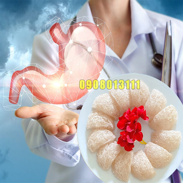 Ăn yến có tốt cho hệ tiêu hóa Ăn yến có tốt cho hệ tiêu hóa