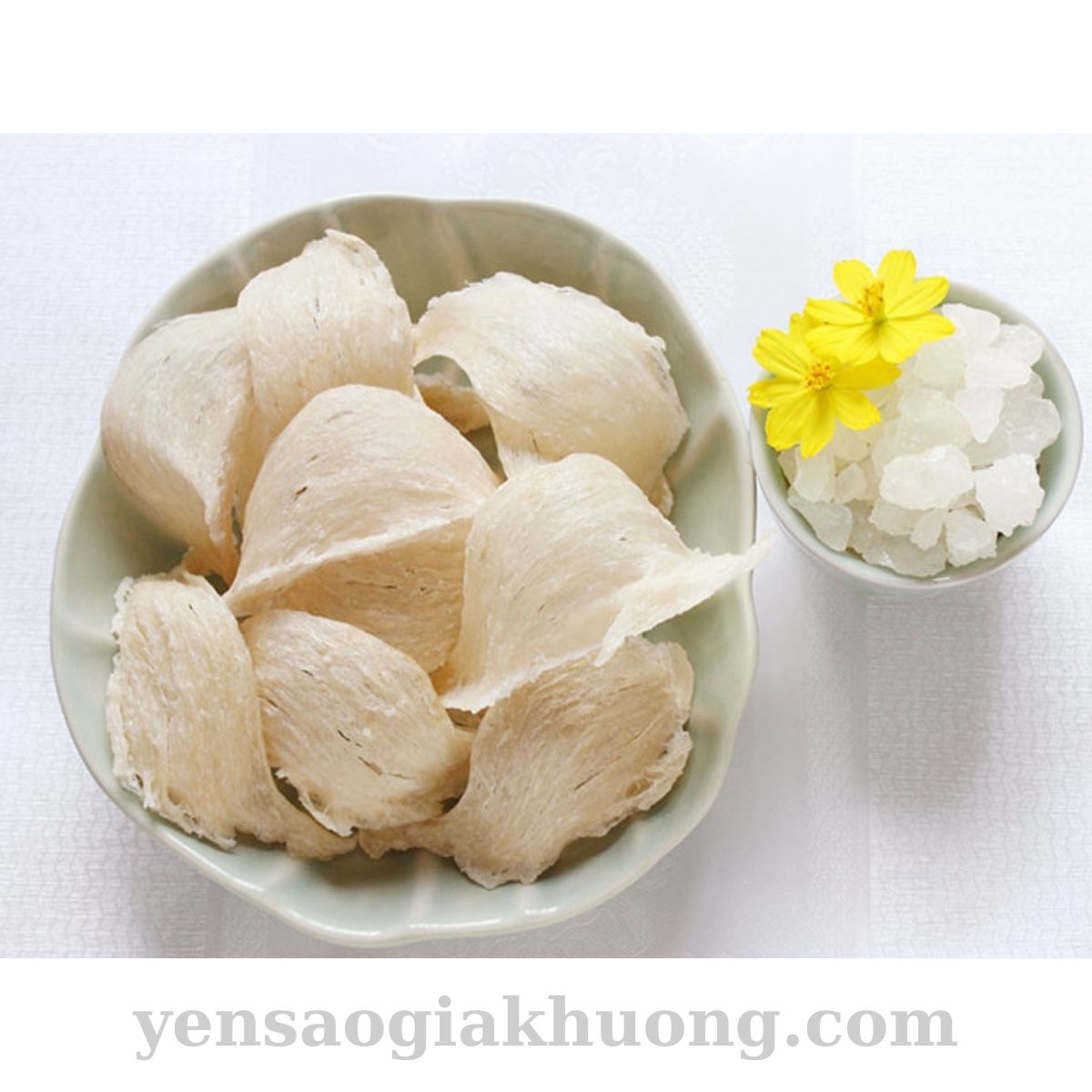 Yến Sào Gia Khương