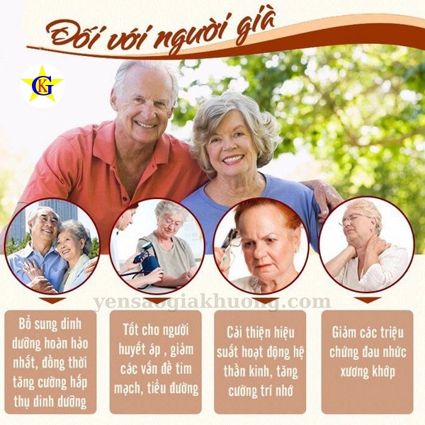 Công dụng yến sào cho người cao tuổi Công dụng yến sào cho người cao tuổi