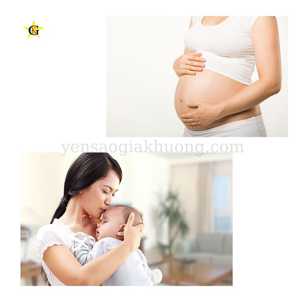 Công dụng của yến sào trước và sau sinh Công dụng của yến sào trước và sau sinh