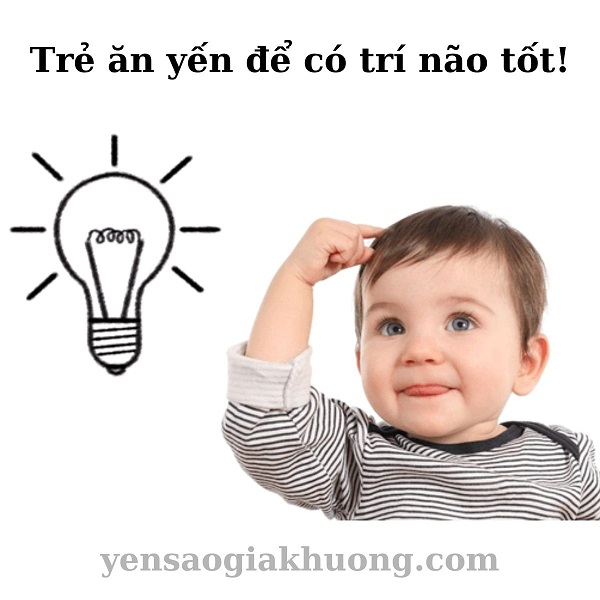 Trẻ ăn yến để có trí não tốt Trẻ ăn yến để có trí não tốt