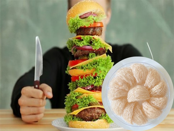 Vì sao không nên ăn yến sào khi no? Vì sao không nên ăn yến sào khi no?