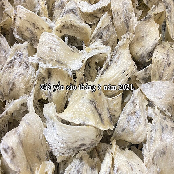 Giá yến sào tháng 8 năm 2021 Giá yến sào tháng 8 năm 2021
