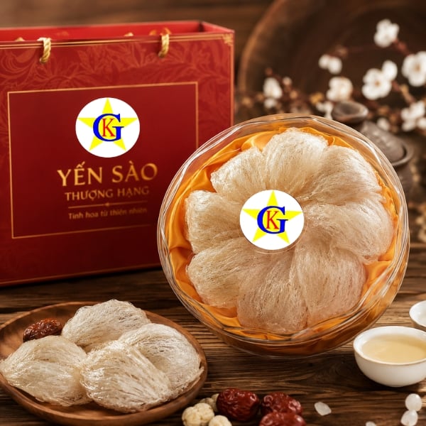 Yến sào và những hiểu lầm phổ biến Yến sào và những hiểu lầm phổ biến