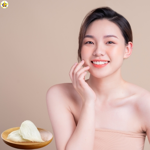 Yến sào – Xu hướng làm đẹp từ thiên nhiên Yến sào – Xu hướng làm đẹp từ thiên nhiên