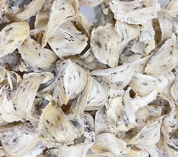 Yến mới thu hoạch xong trong tháng 92025 Yến mới thu hoạch xong trong tháng 92025