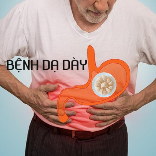 Người lớn tuổi không nên ăn Yến sào quá khuya Người lớn tuổi không nên ăn Yến sào quá khuya