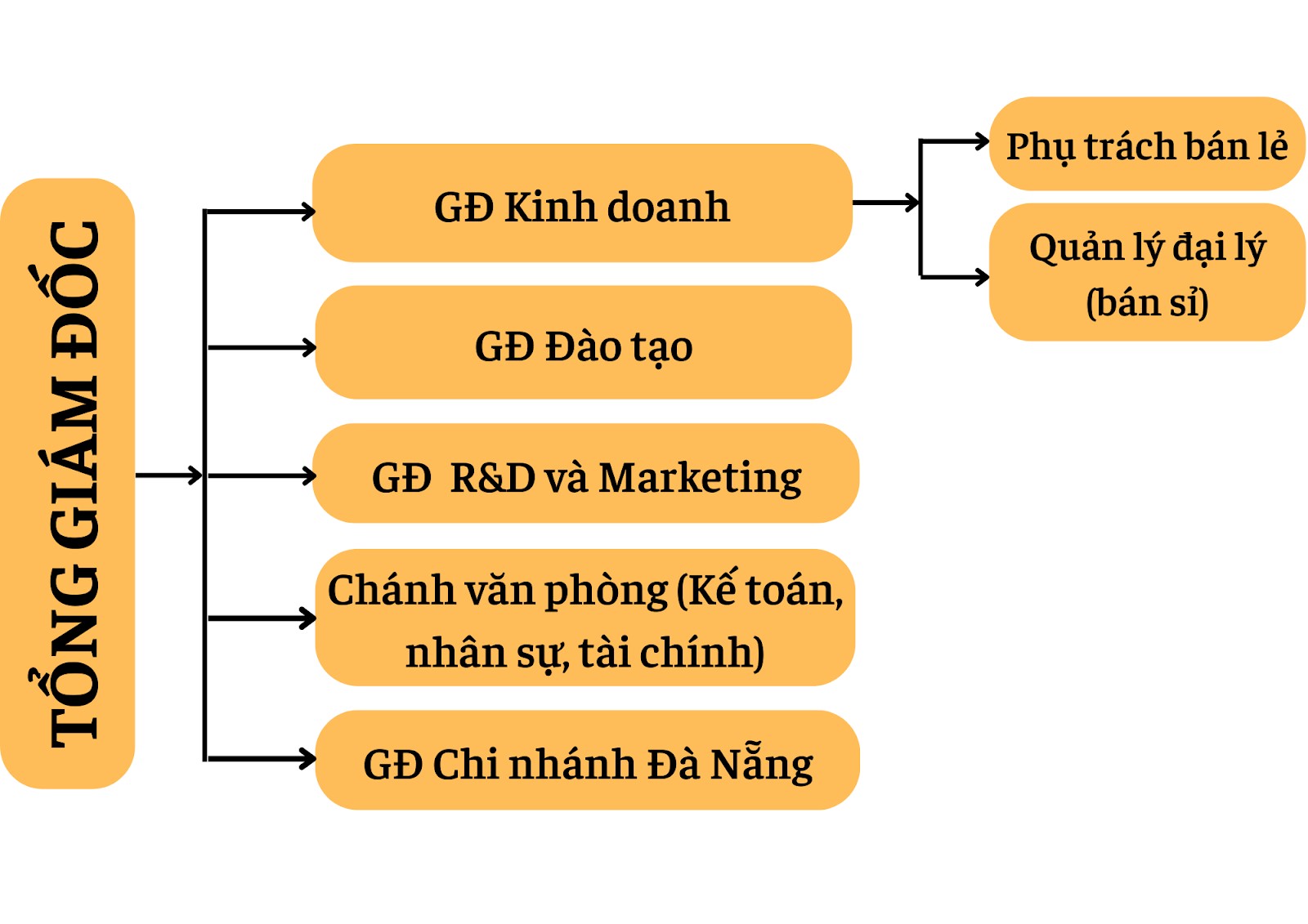 SƠ ĐỒ TỔ CHỨC CÔNG TY CỔ PHẦN BẢO NGHI GROUP