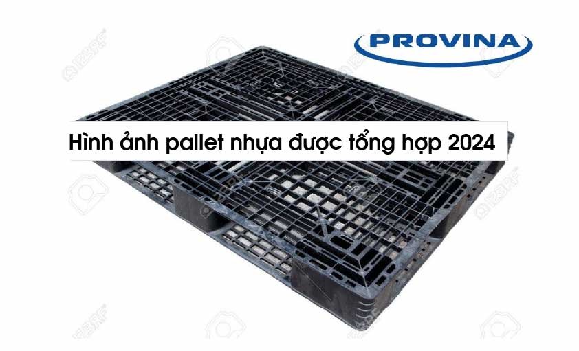 Hình ảnh pallet nhựa cập nhật mới nhất 2024