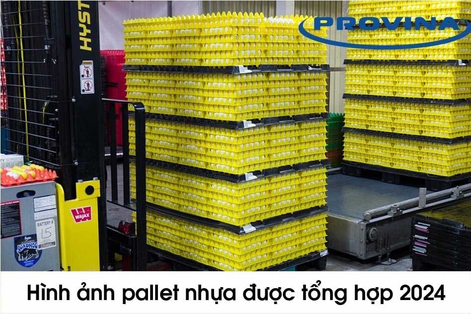 Hình ảnh pallet nhựa cập nhật mới nhất 2024
