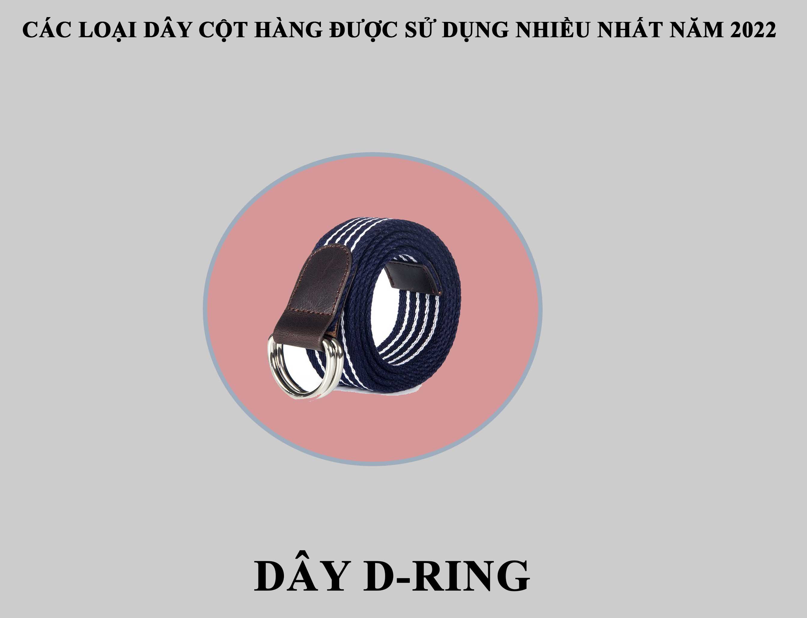 dây cột hàng d-ring