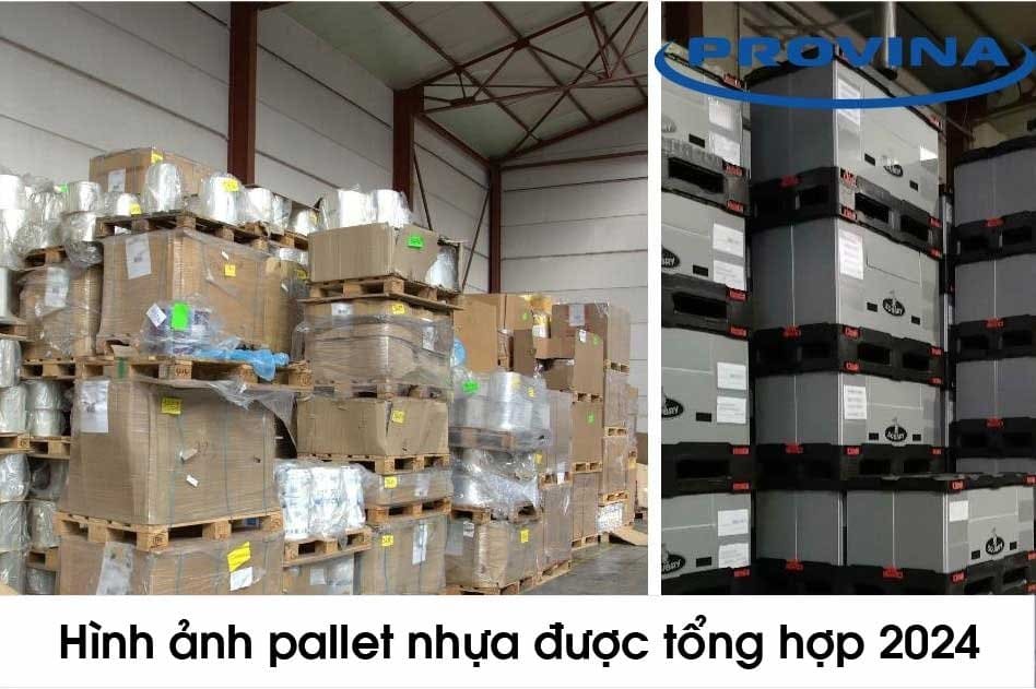 Hình ảnh pallet nhựa cập nhật mới nhất 2024