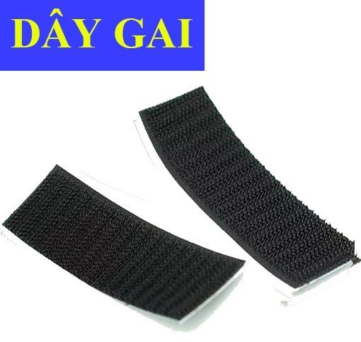dây gai