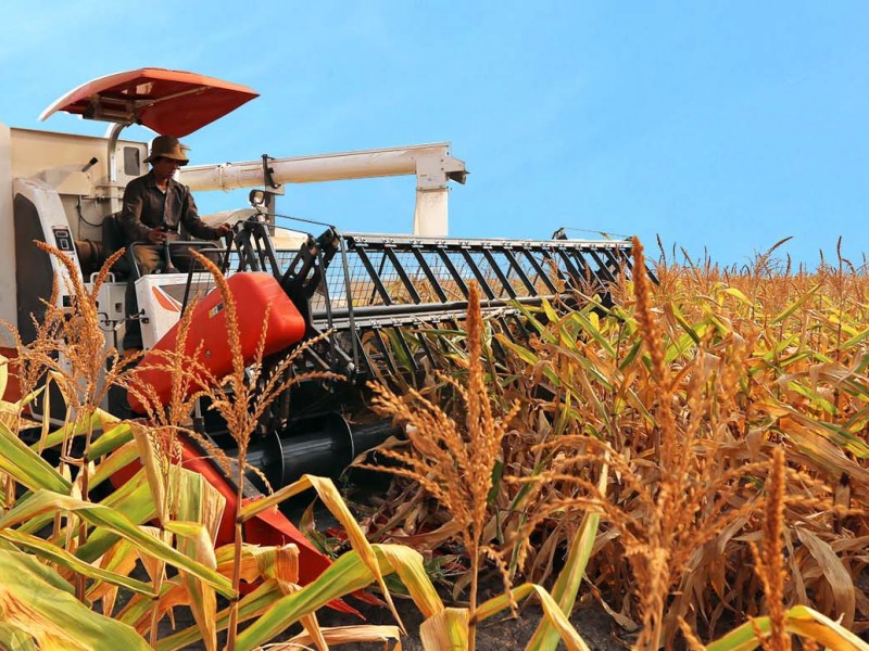 Việt Nam Là Quốc Gia Nông Nghiệp Việt Nam Là Quốc Gia Nông Nghiệp