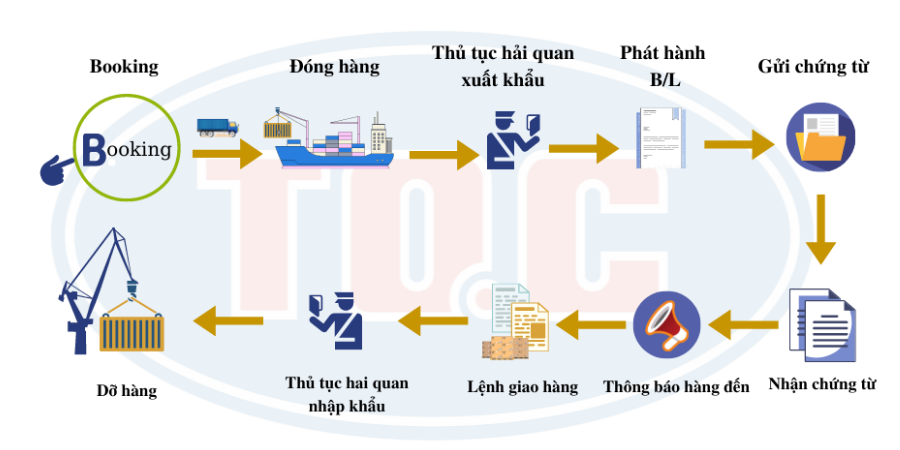 Quy trình giao nhận hàng hóa bằng đường biển từ Việt Nam