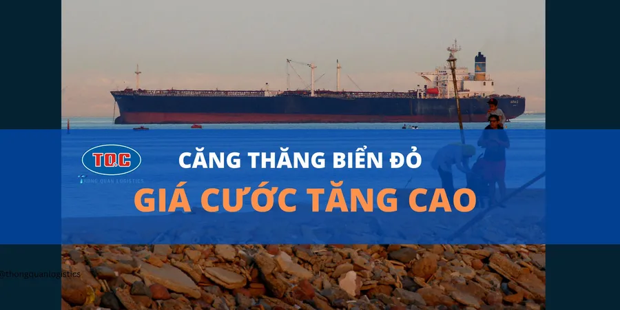 Ứng Phó Với Cước Tàu Biển Tăng Cao