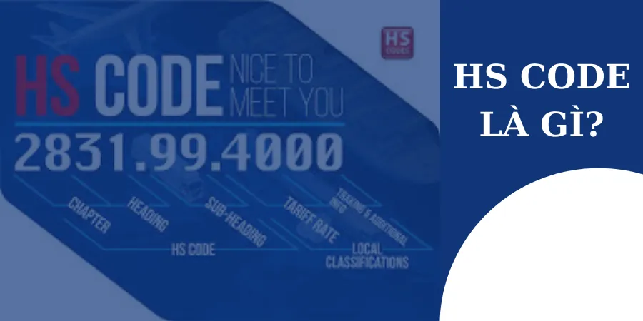 CẤU TRÚC CỦA HS CODE NHƯ THẾ NÀO?