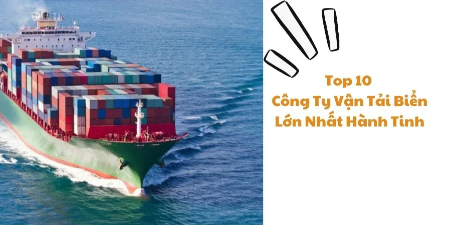 Top 10 Những hãng tàu vận tải biển lớn nhất thế giới 2023