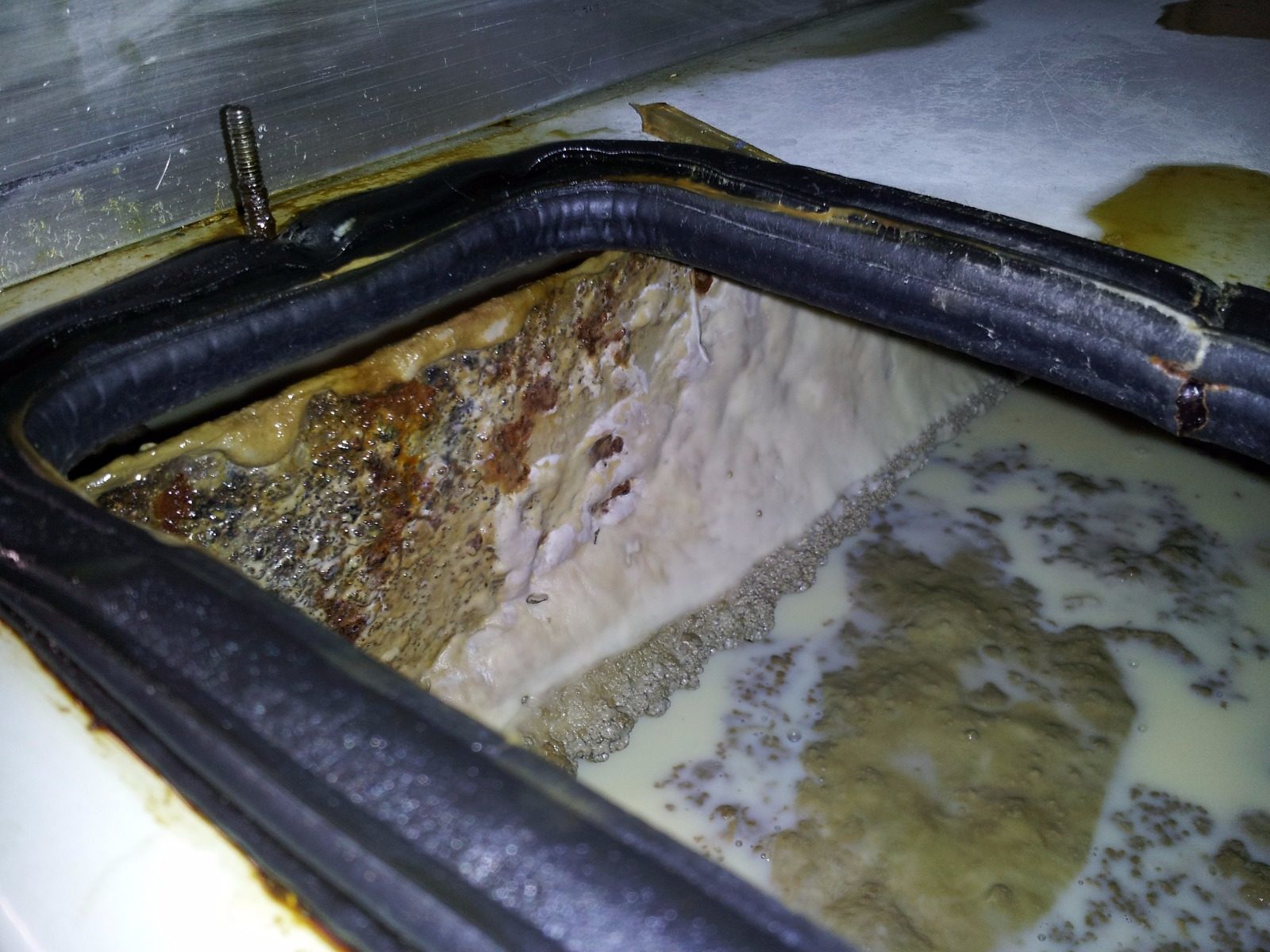 Dầu cắt gọt bị biến màu và có mùi hôi do vi khuẩn Dầu cắt gọt bị biến màu và có mùi hôi do vi khuẩn