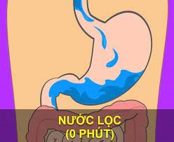 qua-trinh-tieu-hoa-thuc-an-va-thoi-gian-tieu-hoa-thuc-an-kien-thuc-an-uong-danh-cho-nguoi-giam-can-dung-cach qua-trinh-tieu-hoa-thuc-an-va-thoi-gian-tieu-hoa-thuc-an-kien-thuc-an-uong-danh-cho-nguoi-giam-can-dung-cach