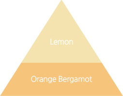 sua-duong-the-huong-thien-nhien-va-cap-am-toan-than-innisfree-my-essential-body-lotion sua-duong-the-huong-thien-nhien-va-cap-am-toan-than-innisfree-my-essential-body-lotion