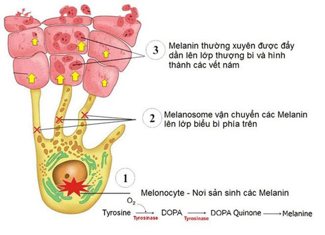 glutathionie-la-gi-tac-dung-va-cach-dung-hieu-qua glutathionie-la-gi-tac-dung-va-cach-dung-hieu-qua