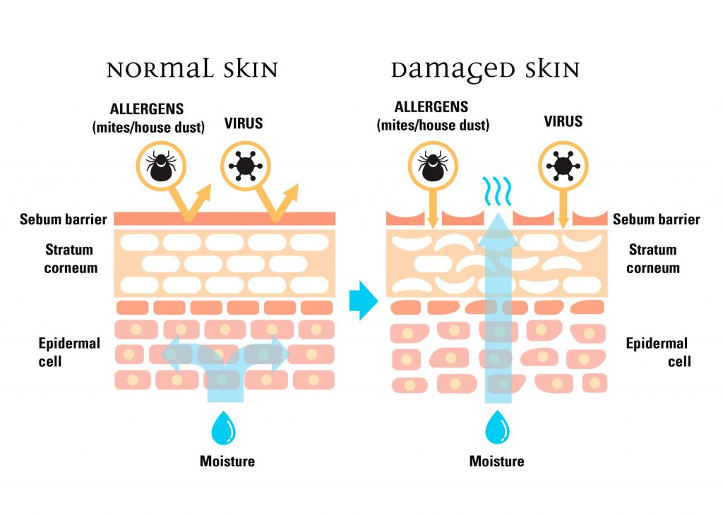 niacinamide-la-gi-cong-dung-cua-niacinamide-trong-cac-san-pham-duong-da-va-chong-lao-hoa niacinamide-la-gi-cong-dung-cua-niacinamide-trong-cac-san-pham-duong-da-va-chong-lao-hoa