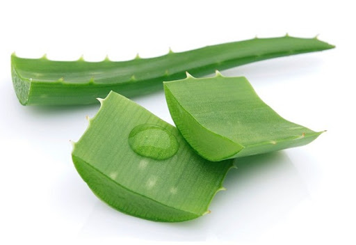 thuc-pham-cham-soc-suc-khoe-unicity-bios-life-mannos-tang-cuong-he-mien-dich-va-suc-de-khang-cua-co-the thuc-pham-cham-soc-suc-khoe-unicity-bios-life-mannos-tang-cuong-he-mien-dich-va-suc-de-khang-cua-co-the