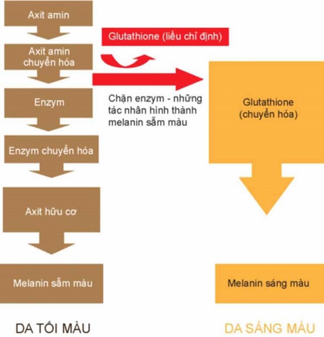 glutathionie-la-gi-tac-dung-va-cach-dung-hieu-qua glutathionie-la-gi-tac-dung-va-cach-dung-hieu-qua