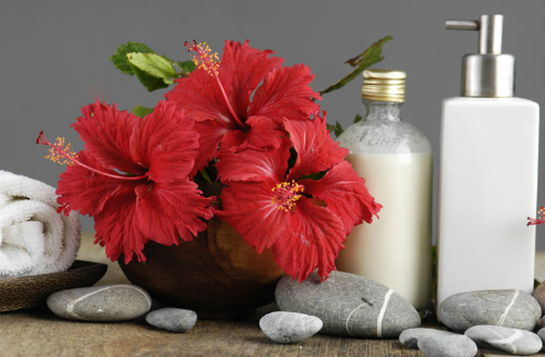 4-mat-na-hoa-giup-da-sang-dep-tuc-thi-3 4-mat-na-hoa-giup-da-sang-dep-tuc-thi-3