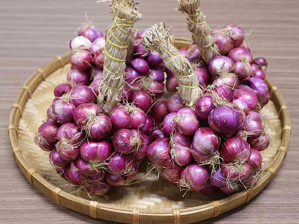 /5-loai-khang-sinh-tu-nhien-co-san-trong-can-bep-8. /5-loai-khang-sinh-tu-nhien-co-san-trong-can-bep-8.