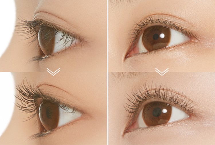 cac-dung-cu-trang-diem-thiet-yeu-can-co-cho-moi-co-nang cac-dung-cu-trang-diem-thiet-yeu-can-co-cho-moi-co-nang