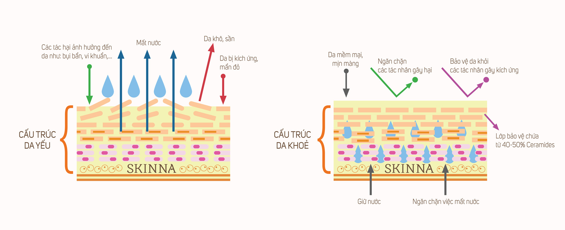 niacinamide-la-gi-cong-dung-cua-niacinamide-trong-cac-san-pham-duong-da-va-chong-lao-hoa niacinamide-la-gi-cong-dung-cua-niacinamide-trong-cac-san-pham-duong-da-va-chong-lao-hoa