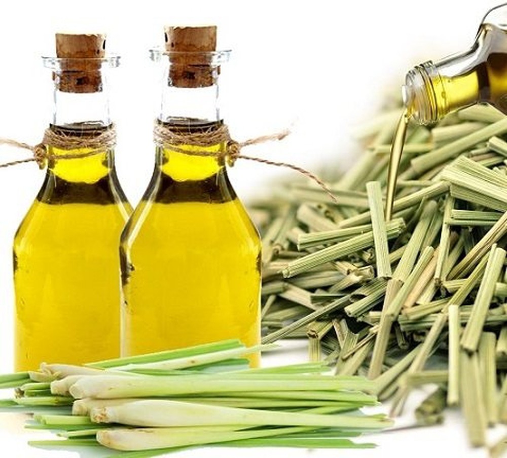 xua-tan-noi-lo-nam-va-gau-da-dau-bang-sa xua-tan-noi-lo-nam-va-gau-da-dau-bang-sa