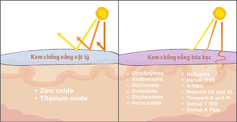 tai-sao-phai-su-dung-kem-chong-nang-thuong-xuyen tai-sao-phai-su-dung-kem-chong-nang-thuong-xuyen